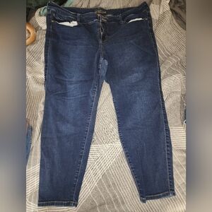 Torrid 26R super soft jegging